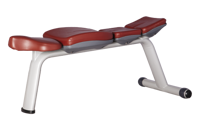 Скамья горизонтальная Bronze Gym H-036A