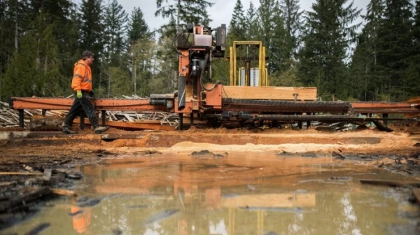 Канада перенаправит экспорт пиломатериалов в обход тарифов Трампа