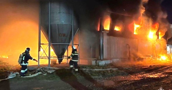 Пострадавший от пожара свиноводческий комплекс покроет убытки страховкой